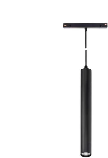 Lubinis šviestuvas Šviestuvas lubinis Spectrum SYSTEM SHIFT 48V HANGIT, 12 W