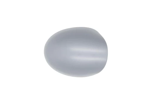 BLIC 6103-09-2002218P Wing mirror cover