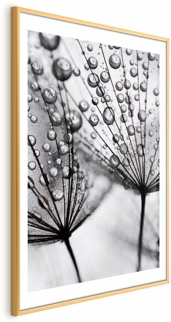 Artgeist Plakatas - Macro Dew