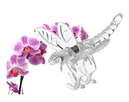 Skaidrūs drakoniukų segtukai orchidėjoms 4 vnt.