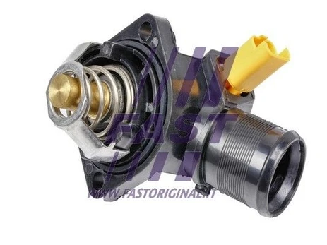 Termostatas, aušinimo skystis FAST FT58013