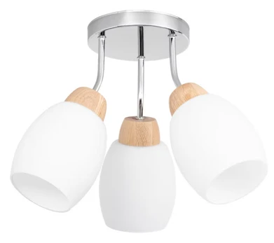 Šviestuvas lubų Spot-Light Skaja, E27