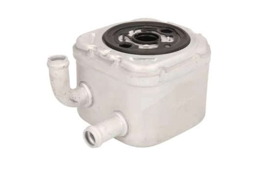 Alyvos radiatorius THERMOTEC D4A004TT