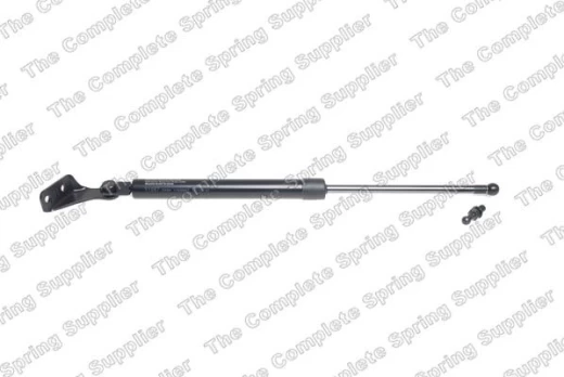 LESJOFORS LS8162064 Boot strut