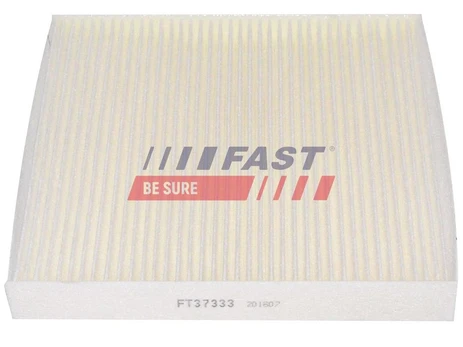 Filtras, salono oras FAST FT37333