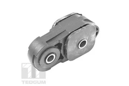 Variklio montavimas TEDGUM 00461492