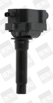 Ritė, uždegimas BorgWarner (BERU) ZS434
