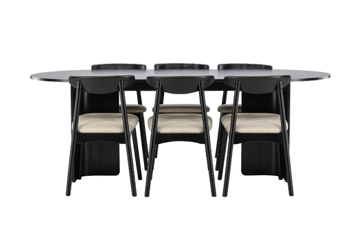 Tyresö Table 100x220 cm - Black with Ven Chair - Black