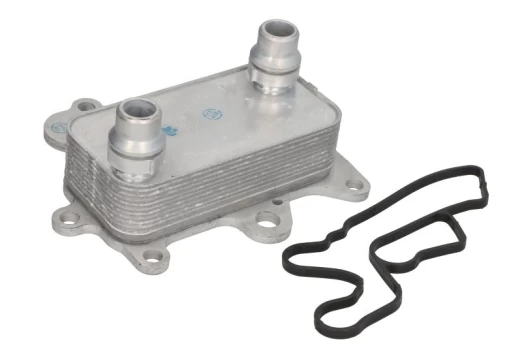 Alyvos radiatorius THERMOTEC D4F009TT