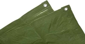 Brezentas Relags 2x3m, žalias