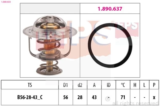 Termostatas, aušinimo skystis EPS 1.880.650