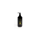 Dermo Afro Champu Mango-Argan 500ml kaina