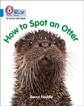 How to Spot an Otter kaina