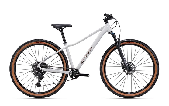 Dviratis CTM Charisma 3.0 29" dydis L