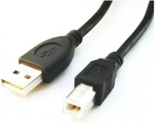 USB cable Gembird USB-A - USB-B 4.5 m Black (CCPUSB2AMBM15)