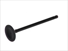 FRECCIA 6104/SNT Inlet valve kaina