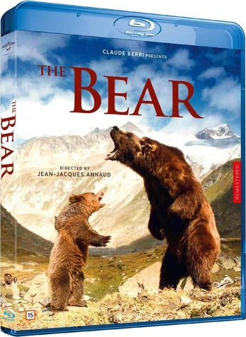 BEAR THE BD