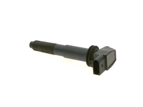 Ritė, uždegimas BOSCH 0 986 221 070