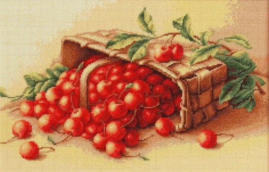 Basket of cherry SB498