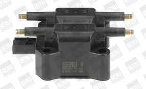 Ritė, uždegimas BorgWarner (BERU) ZS392