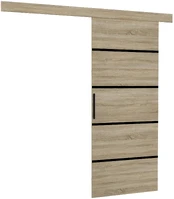 Stumdomosios durys MUSCHU 96 kaina