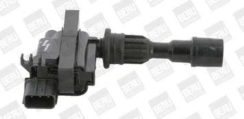 Ritė, uždegimas BorgWarner (BERU) ZSE190