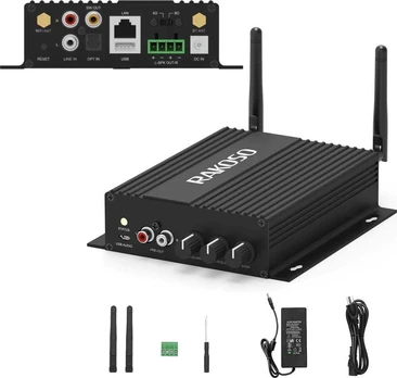 Arylic SA100 Multiroon Streamer su stiprintuvu