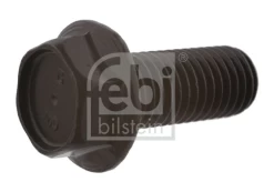 Varžtas FEBI BILSTEIN 03436 kaina