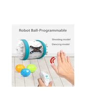Robotas kamuolys su valdymo pultu kaina