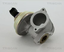 ERG vožtuvas TRISCAN 8813 16102