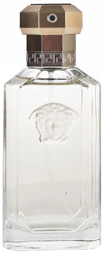 Tualetinis vanduo Versace The Dreamer EDT vyrams 100 ml