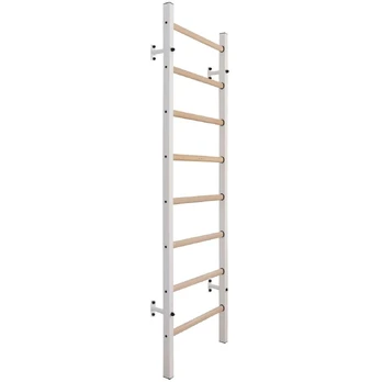 Sieninės kopėčios BenchK 200W