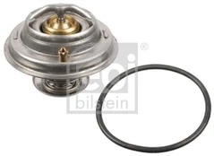 Termostatas, aušinimo skystis FEBI BILSTEIN 108104