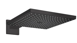 Sieninė dušo galvutė Hansgrohe Raindance E 300, juoda kaina