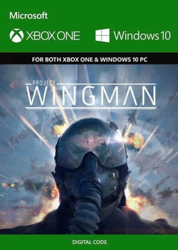 Project Wingman PC