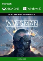 Project Wingman PC kaina