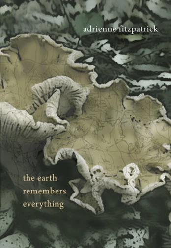 Earth Remembers Everything
