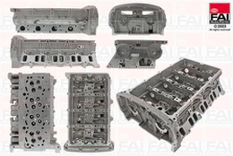 FAI AutoParts BCH069 Cilindro galvutė