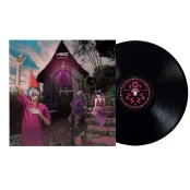 Vinyl (LP) Gorillaz - Cracker Island kaina