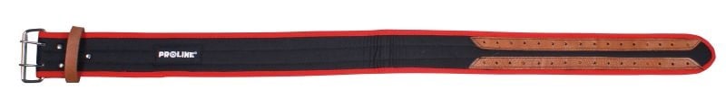Proline Pro-Line Pas 52040 kalnų dviratis