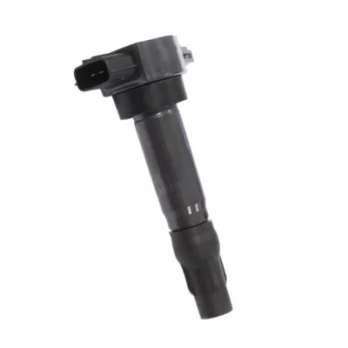 Ritė, uždegimas HITACHI 134077