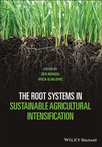 Root Systems in Sustainable Agricultural Intensification