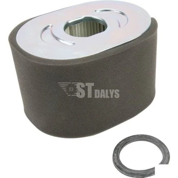 Oro filtras Briggs and Stratton 799818