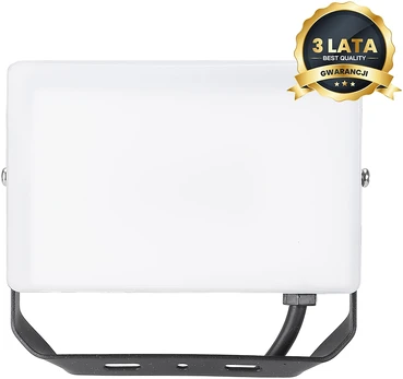 LED prožektorius 30W 3000lm 5000K IP65 juodas Eko-Light