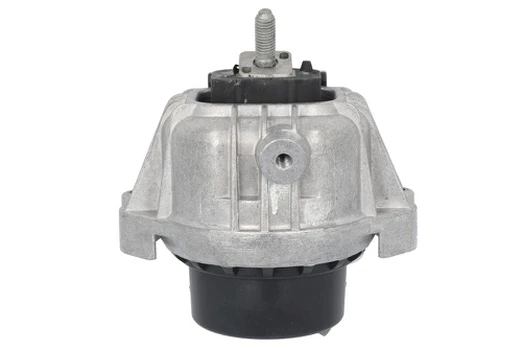 Variklio montavimas TEDGUM TED60795
