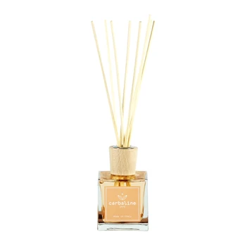 HOME FRAGRANCE TUSCAN LEATHER namų kvapas, 100 ml