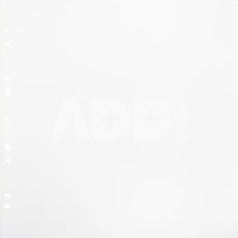 Focus Carton Refillsheets for Ringbinder Gigant Baltas 10-pack