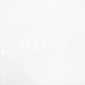 Focus Carton Refillsheets for Ringbinder Gigant Baltas 10-pack kaina