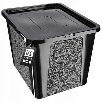 Daiktadėžė su dangčiu, 30 l, juoda