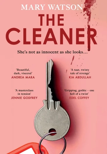 Cleaner
